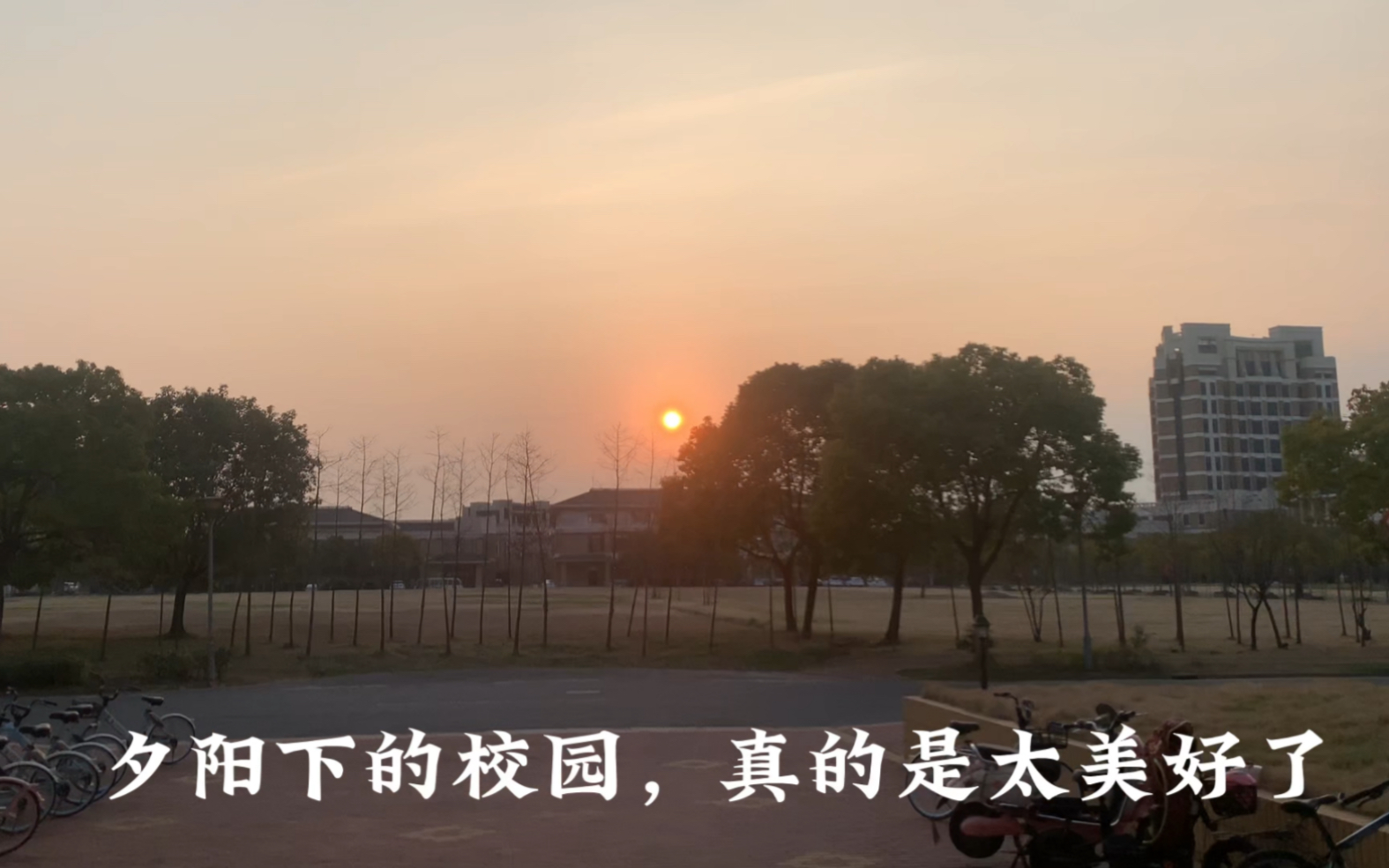 学校生活真的很幸福——新学期哔哩哔哩bilibili