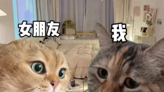 Download Video: 排卵期夸我猛猛的