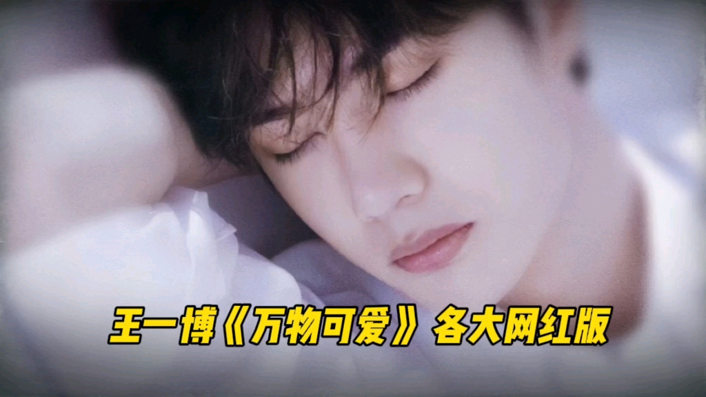 王一博《万物可爱》各大粉丝版