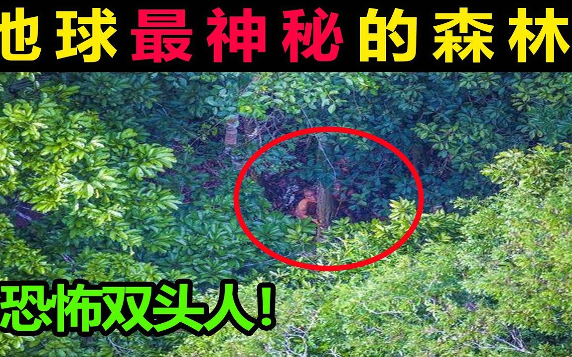 地球最神秘的森林,恐怖双头人,探险者被当场吓傻,从未见过的恐怖生物