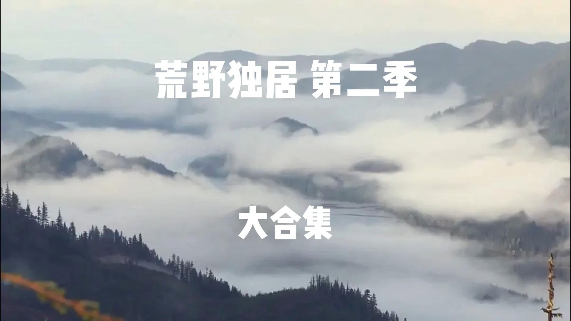 荒野独居第二季大合集