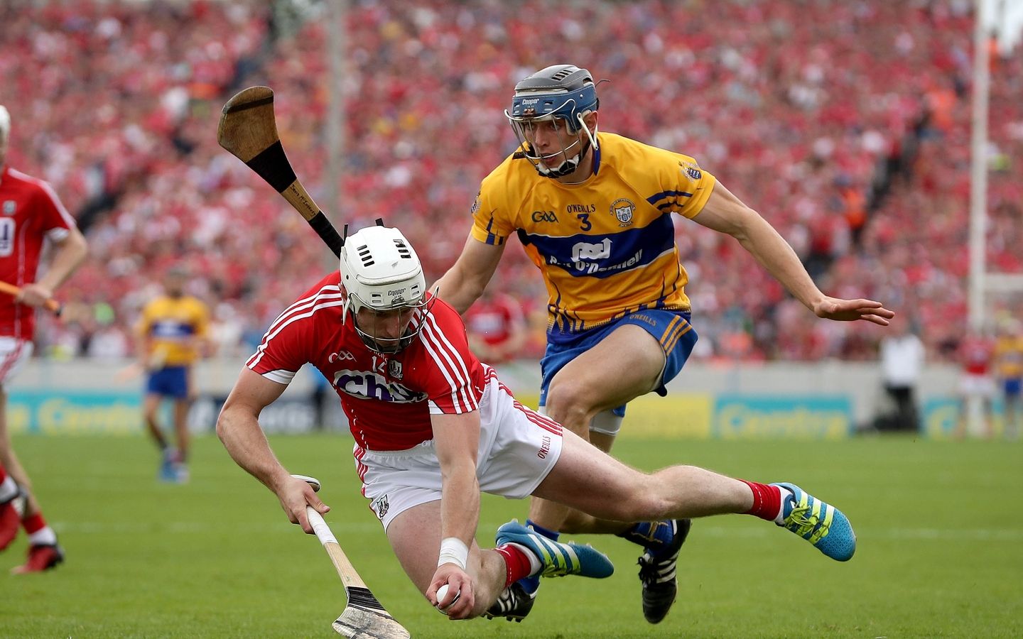 纪录片rte爱尔兰民族体育板棍球的故事e012018片头高清生肉