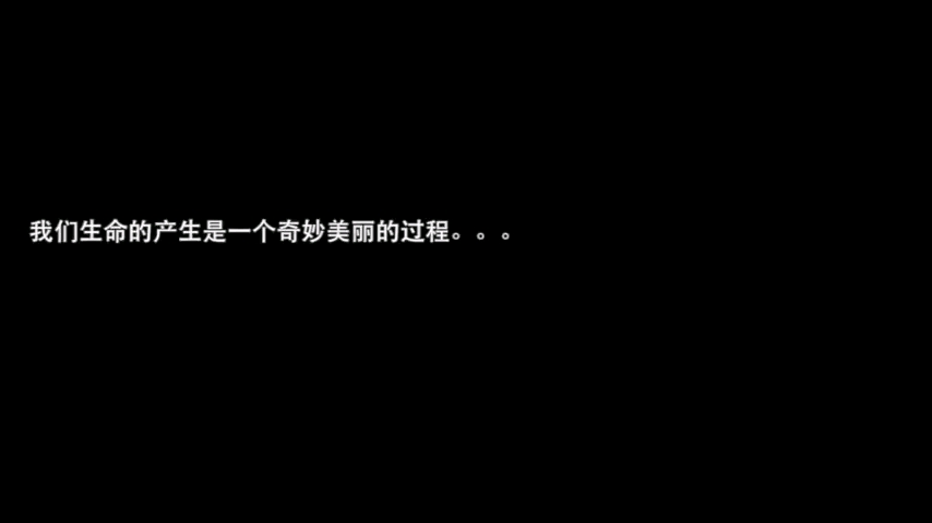 [图]完整受精至胎儿形成过程，受孕过程，奇妙的生命形成。