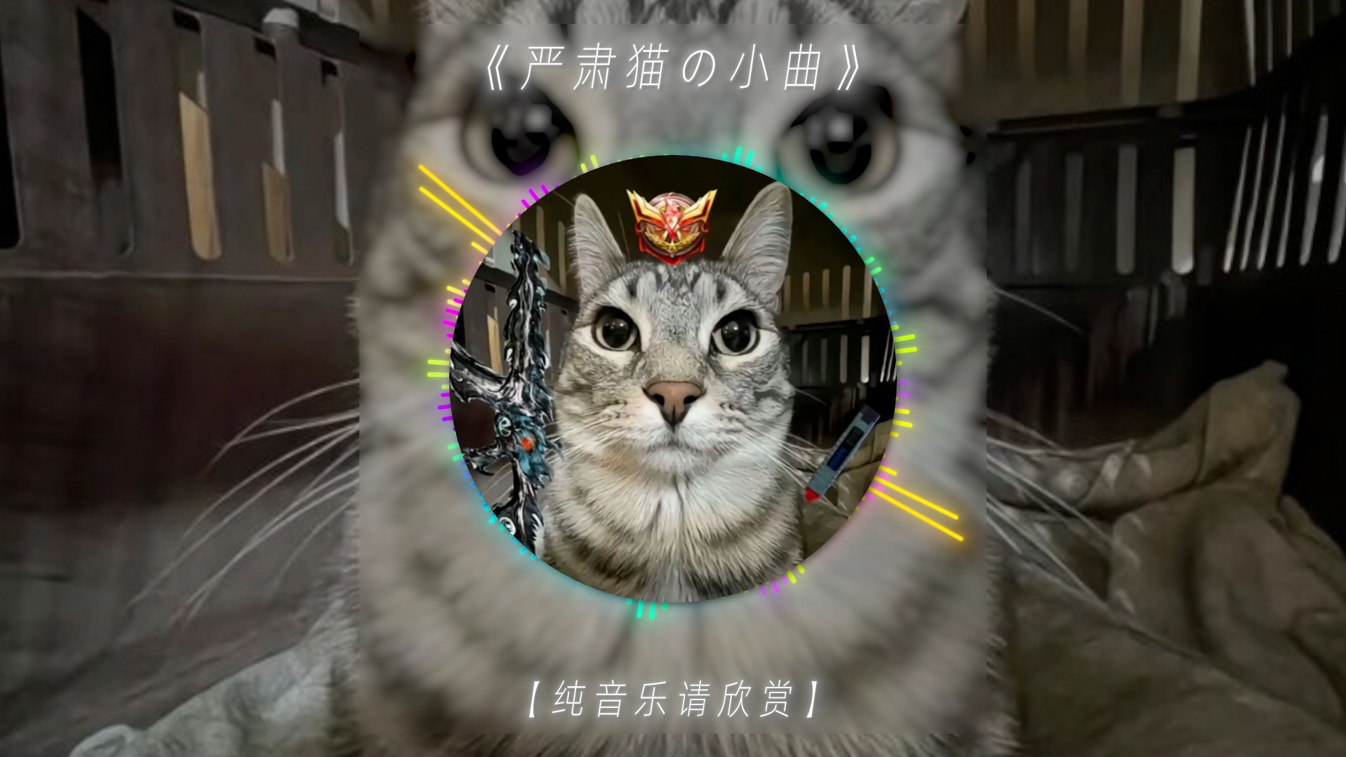 [图]【严肃猫の小曲】