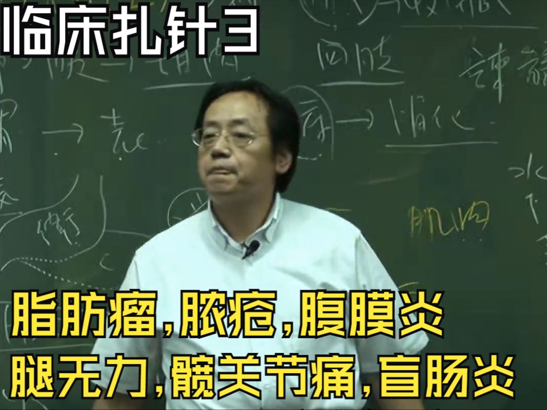 倪海厦《针灸大成》第四十一集-完整版