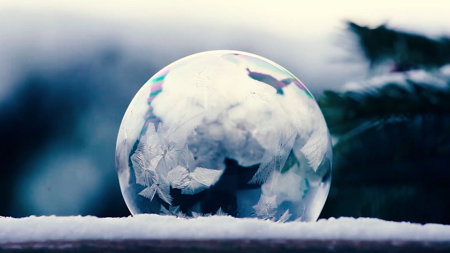 快看 低温下的冰冻泡泡有多惊艳