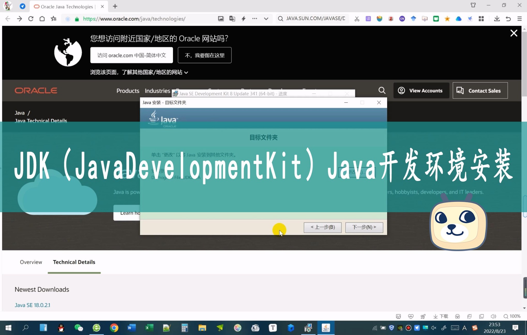 JDK(JavaDevelopmentKit)Java开发环境下载、安装与配置哔哩哔哩bilibili