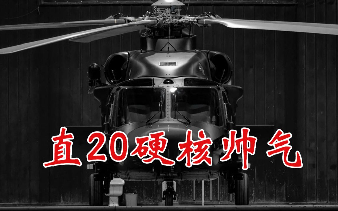 [图]硬核帅气！直20让陆军“飞起来”！