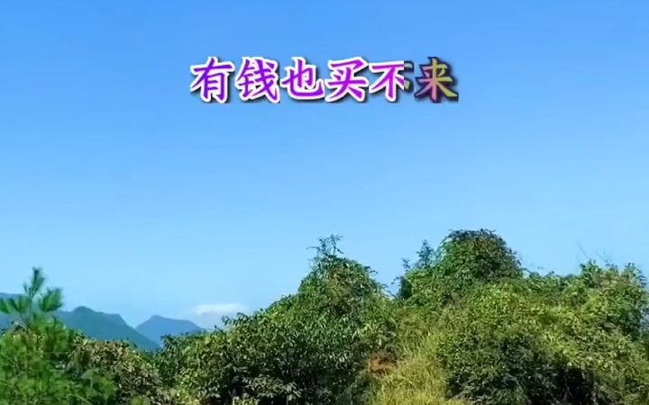 『乡村风光』大山里的风景,田园风光哔哩哔哩bilibili