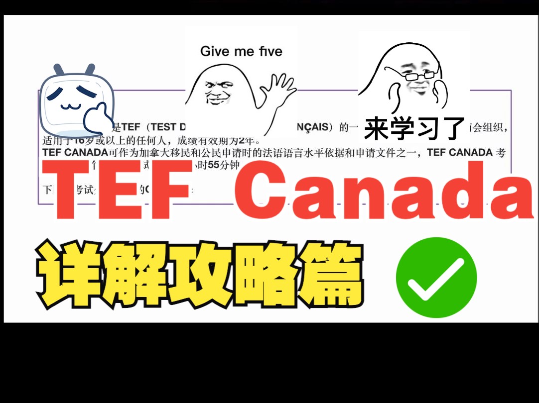 【TEF Canada 】法语TEF Canada全攻略,新手也能轻松上手!𐟒꥓”哩哔哩bilibili