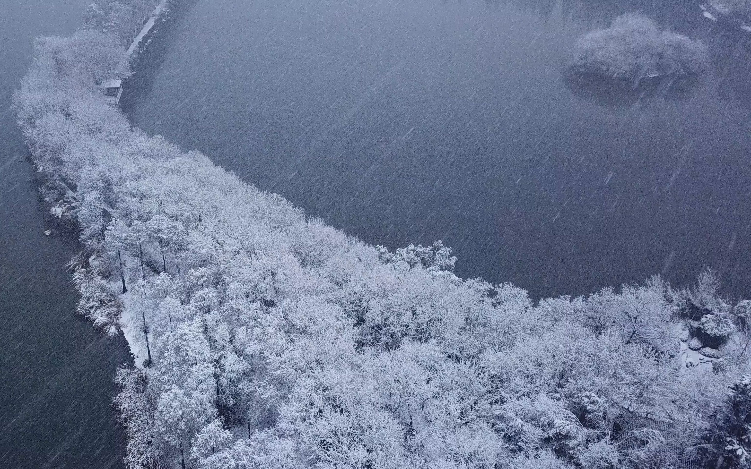 【4K】武汉东湖绿道雪景哔哩哔哩bilibili