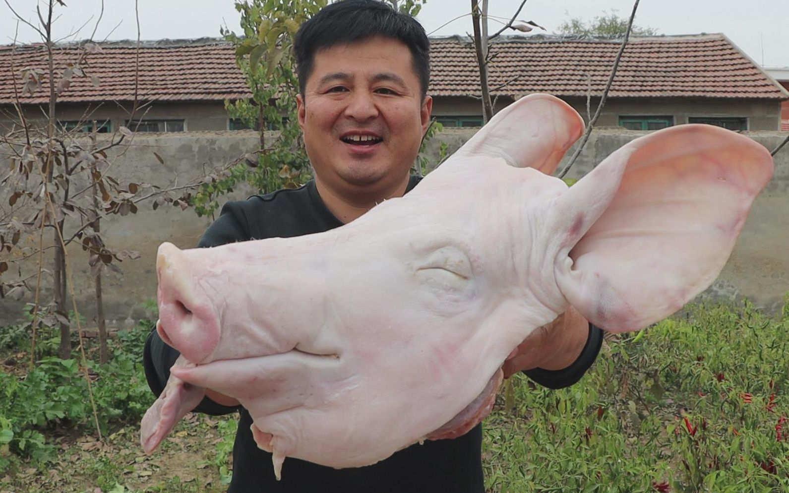 150元买一个大猪头,先卤后熏做个"熏猪头",再来点大蒜,真香