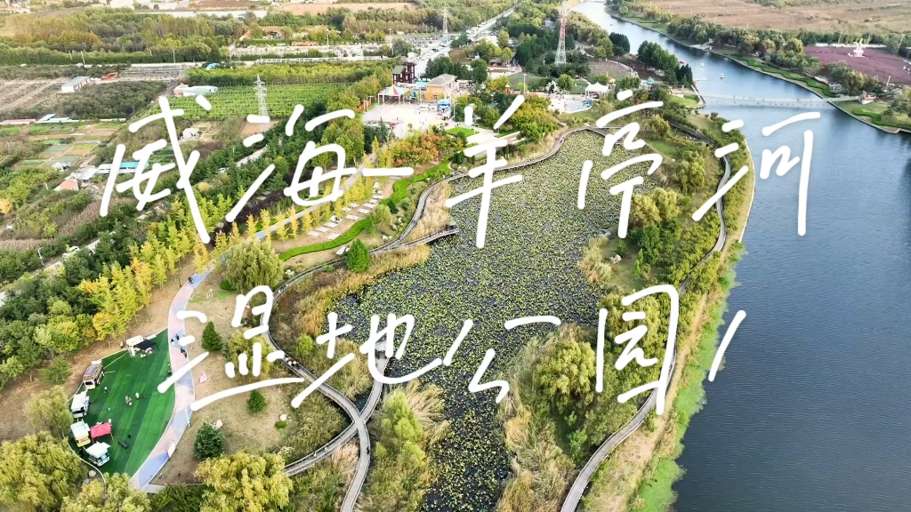 羊亭湿地公园图片