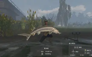 Fishing Planet 全任务鱼攻略 工艺任务北美篇 哔哩哔哩 つロ干杯 Bilibili