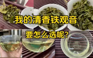 Download Video: 我的清香铁观音应该怎么选？本想搞简单点，最后却弄复杂了