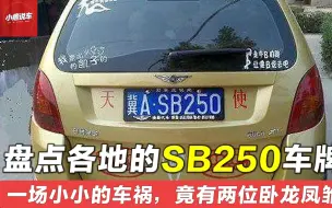 Download Video: 盘点各地的SB250车牌，一场小小的车祸，竟能出现两位卧龙凤雏！