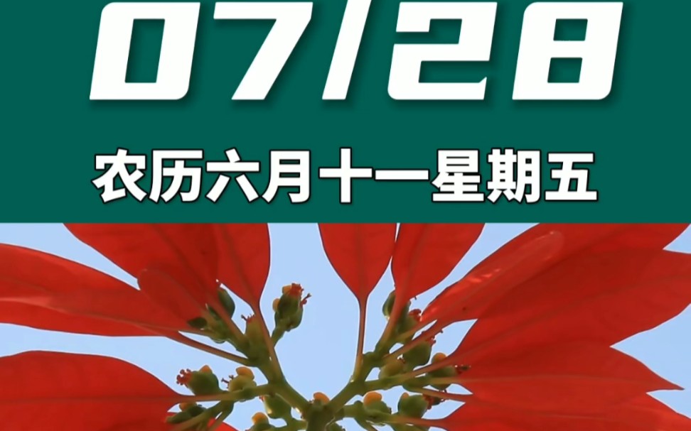 早上好啊今天是2023年7月28日星期五 巨蟹座农历六月十一 丁亥日十二建除的定日 明堂黄道日,喜神在正南 财神在正西幸运数字:5、2哔哩哔哩bilibili