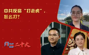 Download Video: 【问答二十大】中共反腐“打老虎”，怎么打？