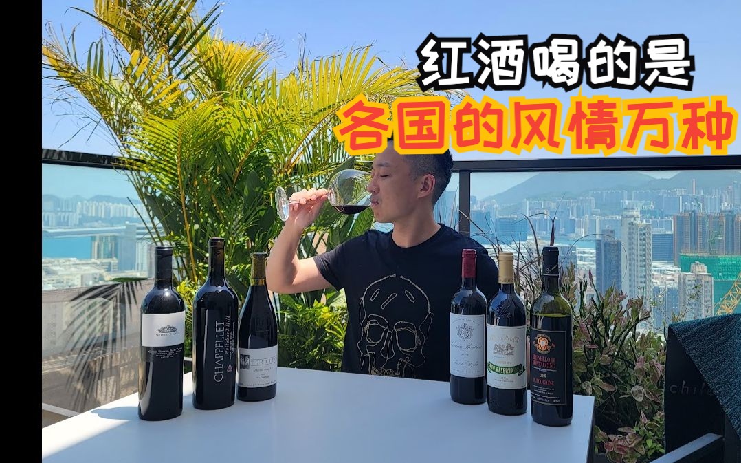 红酒喝得出一个国家的风土人情吗?哔哩哔哩bilibili