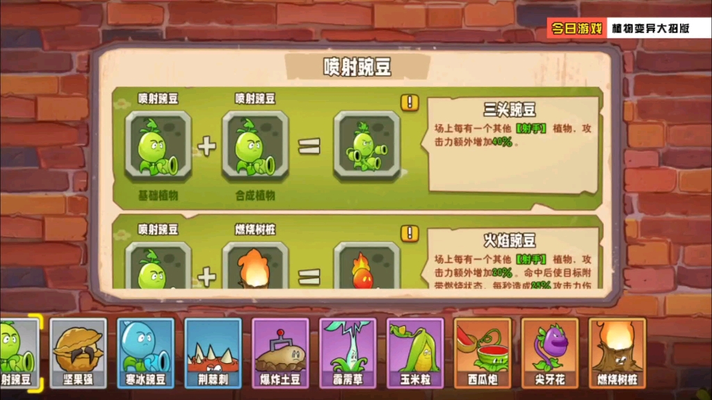 豌豆家族凭啥风靡植物圈!