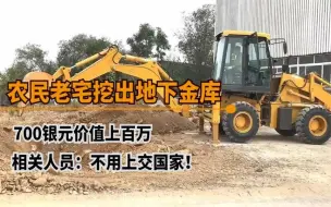 Video herunterladen: 浙江农民自家老宅挖出地下银行，专家估值超百万，关键还不用上交