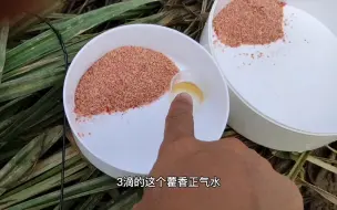 下载视频: 钓鱼饵料加藿香正气水，和不加的效果区别真大