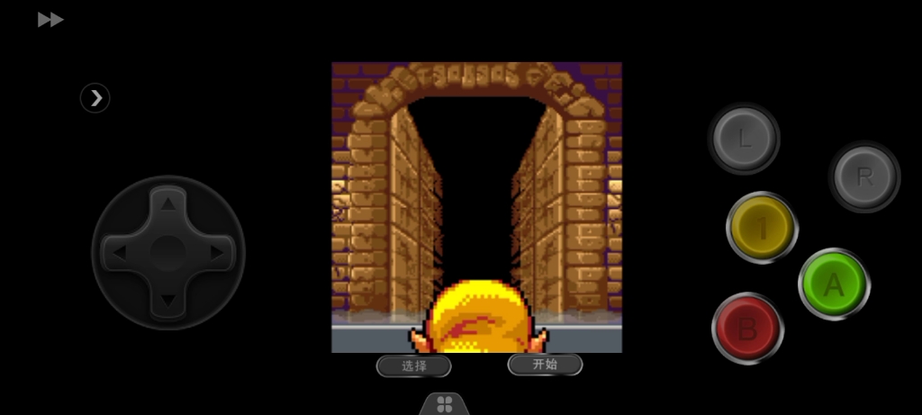 gba瓦里奥寻宝记通关视频5