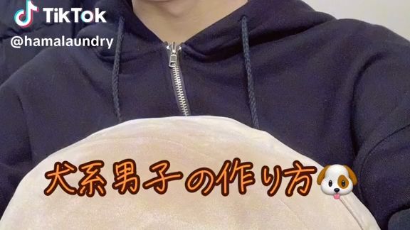 ＂犬系男子になりたいー!人におすすめ𐟐𖰟𖰟𖯼‚哔哩哔哩bilibili