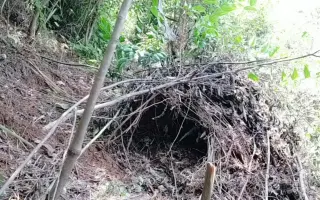 野猪窝 搜索结果 哔哩哔哩 Bilibili