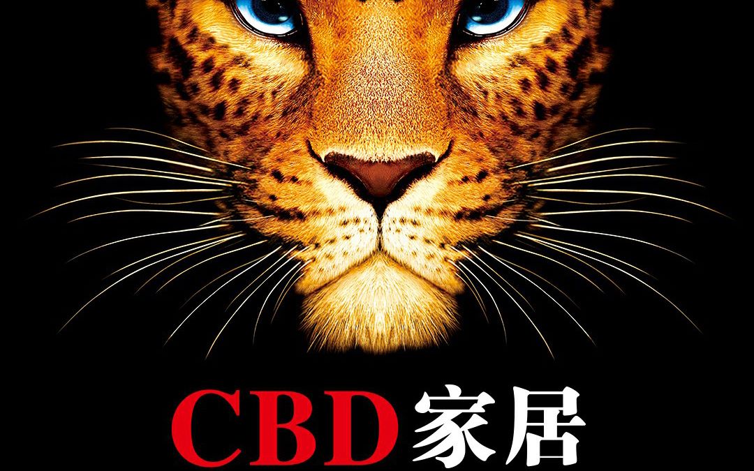 CBD家居丨给爸妈一个温馨的家,从家具挑选的每一个细节中开始!哔哩哔哩bilibili