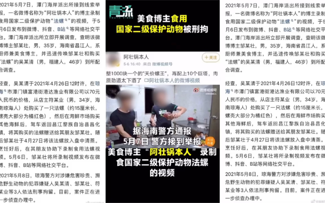 海南百万粉丝美食博主,食用“二级保护动物”法螺被刑拘哔哩哔哩bilibili