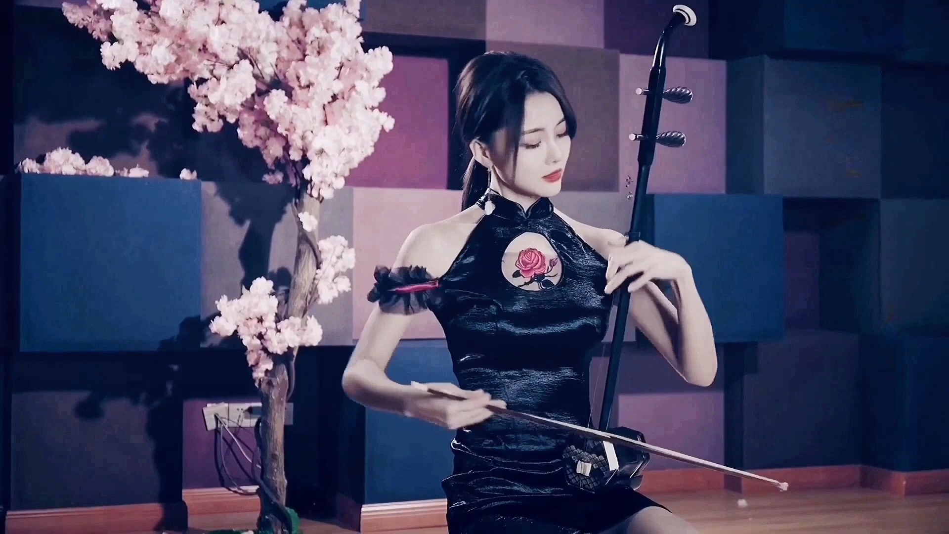 李弦月二胡《沂蒙颂》的插曲《愿亲人早日养好伤》