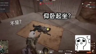 熊也会仰卧起坐？