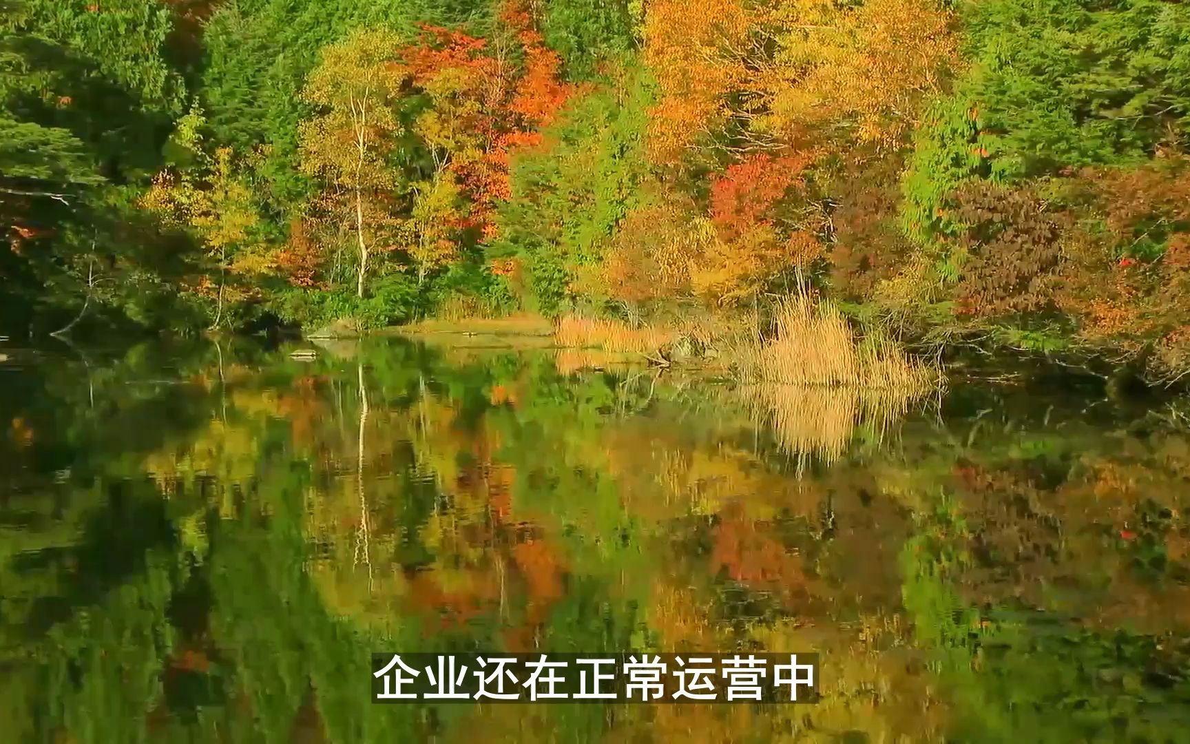 常州企业贷款,企业征信有问题可企业可以贷款吗哔哩哔哩bilibili