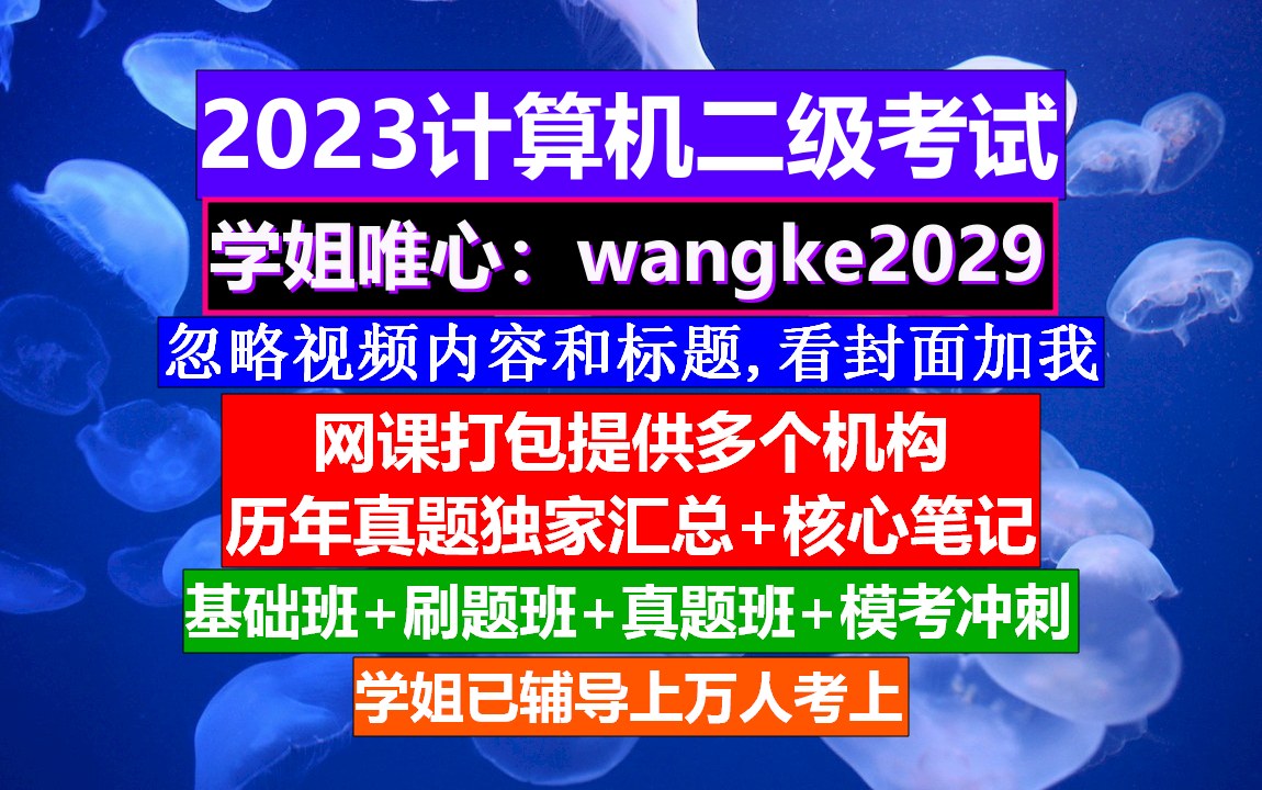 计算机二级考证,计算机二级考试日期,计算机二级考什么哔哩哔哩bilibili