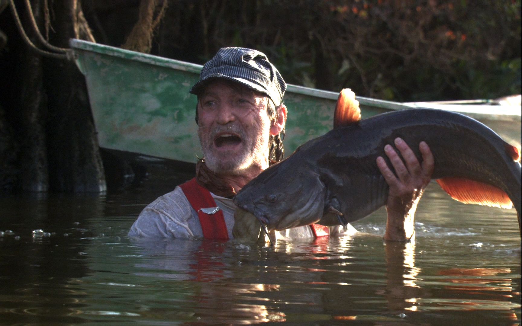 《科学怪鱼》美味的黑鱼竟然变异成凶猛的食人鱼,实力堪比大白鲨_哔哩