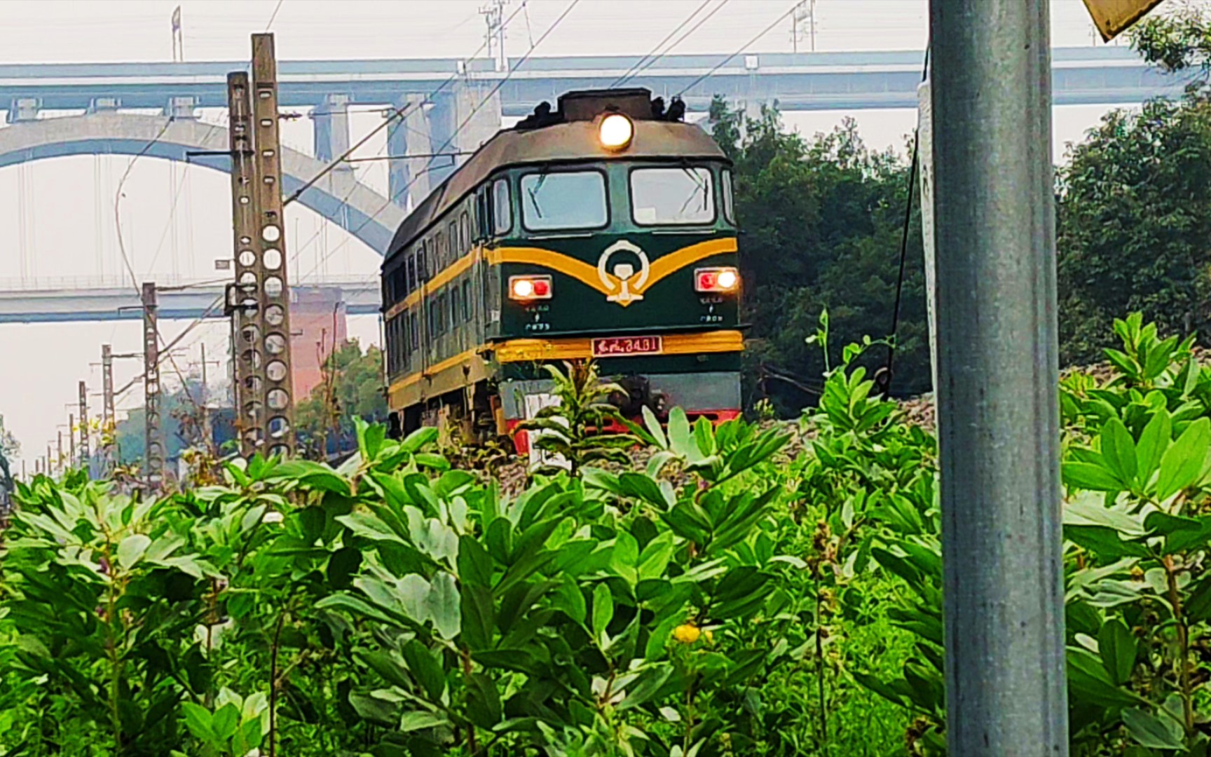 [图]［内六铁路/成贵客专］初春油菜花遍布金沙江滩，宜宾金沙江公铁两用桥附近拍车