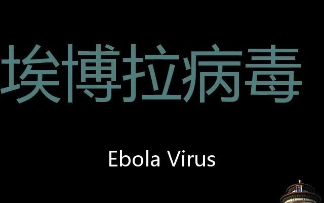 埃博拉病毒 Chinese Pronunciation Ebola virus哔哩哔哩bilibili