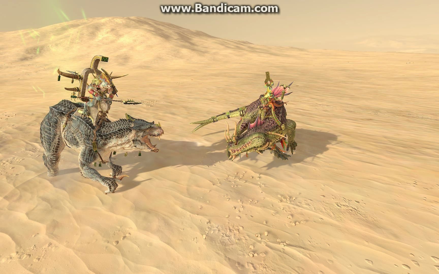 灵蜥先知vs疤痕老兵_哔哩哔哩bilibili_战锤