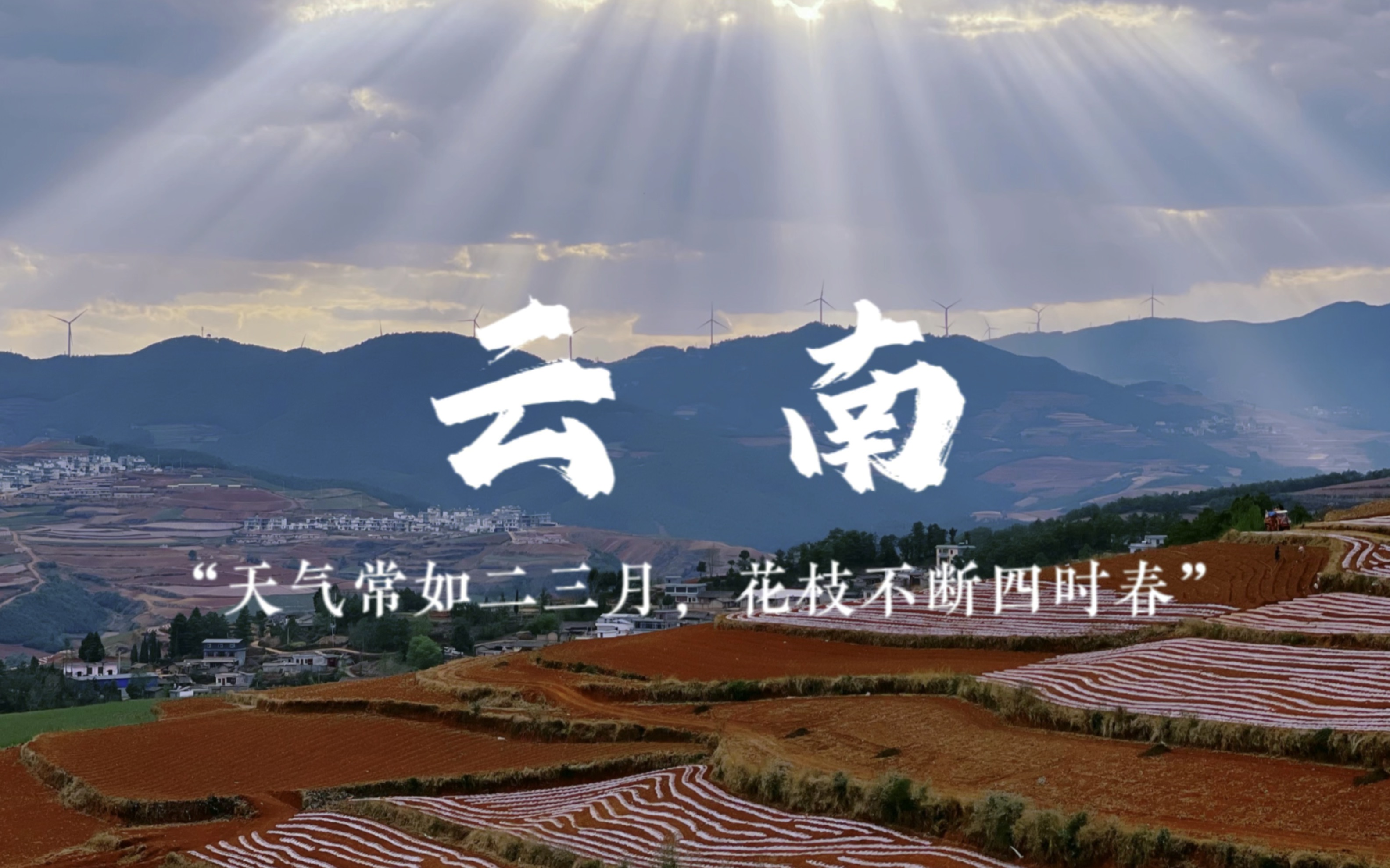 vlog02【回顾】云南|"天气常如二三月,花枝不断四时春"