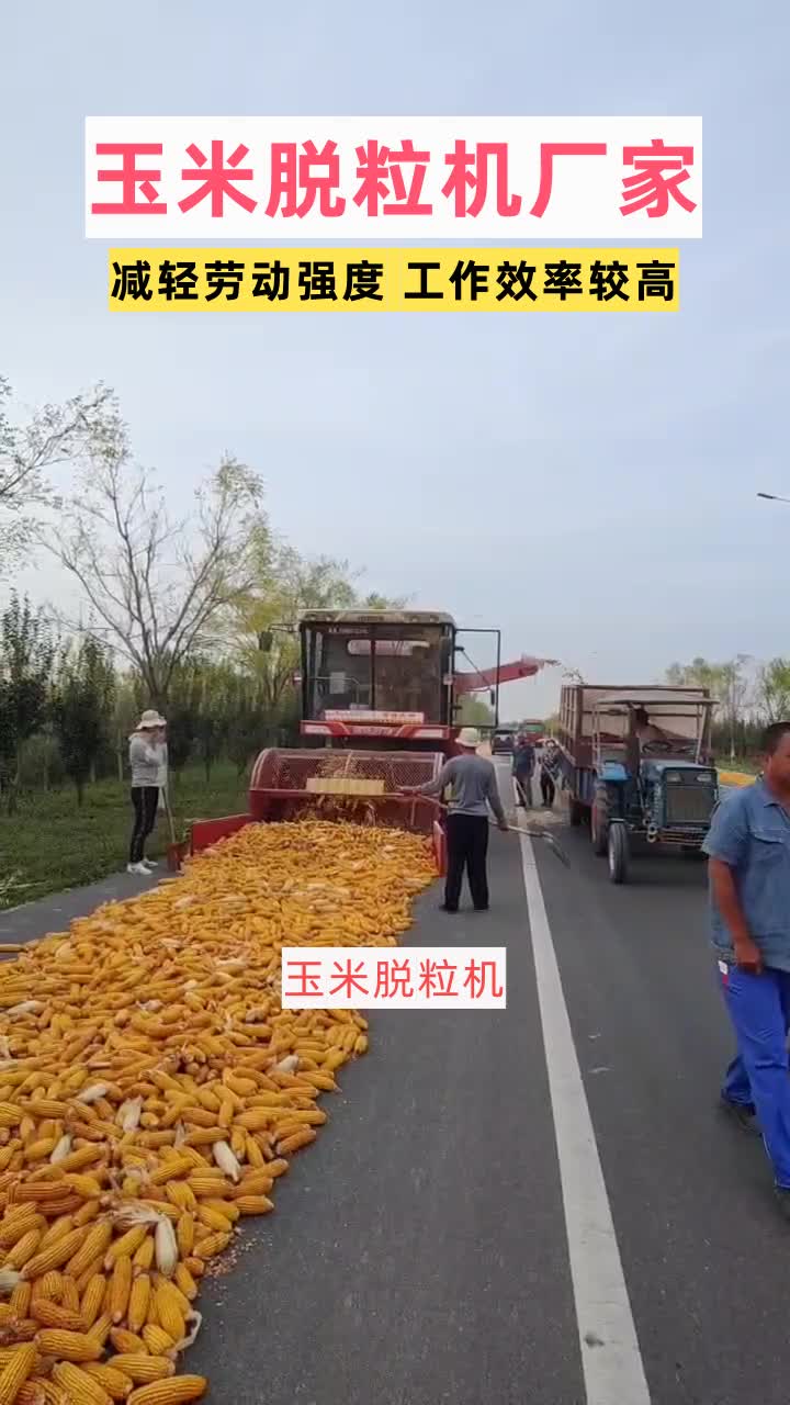 大型玉米脱粒机设备,售后无忧,快速响应,问题解决全程跟踪.我们坚守品质承诺,严格把控质量.欢迎来电详谈. #玉米脱粒机厂 #玉米脱粒机厂家 #大...