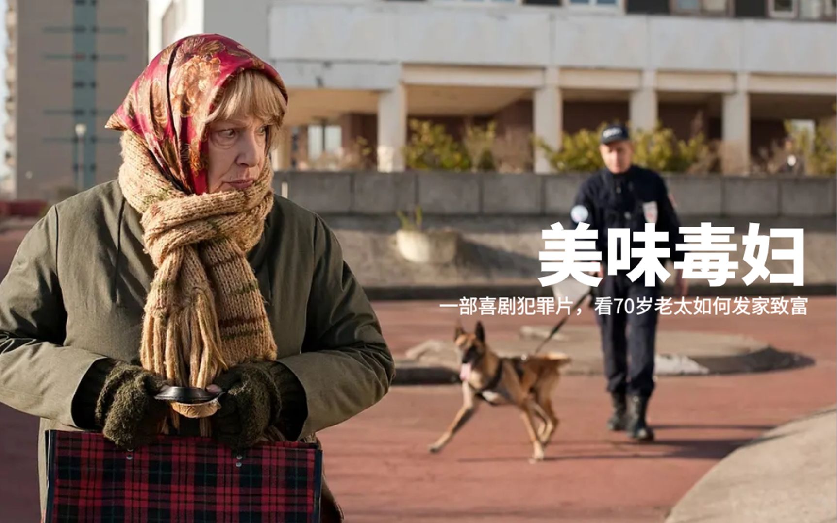 [图]经典喜剧片，贫穷老太为赚钱选择贩毒，意外发现商机短短几日暴富