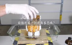 Download Video: 如果把一只饲养时长两年半的坤坤，浸泡在硫酸中会发生什么？