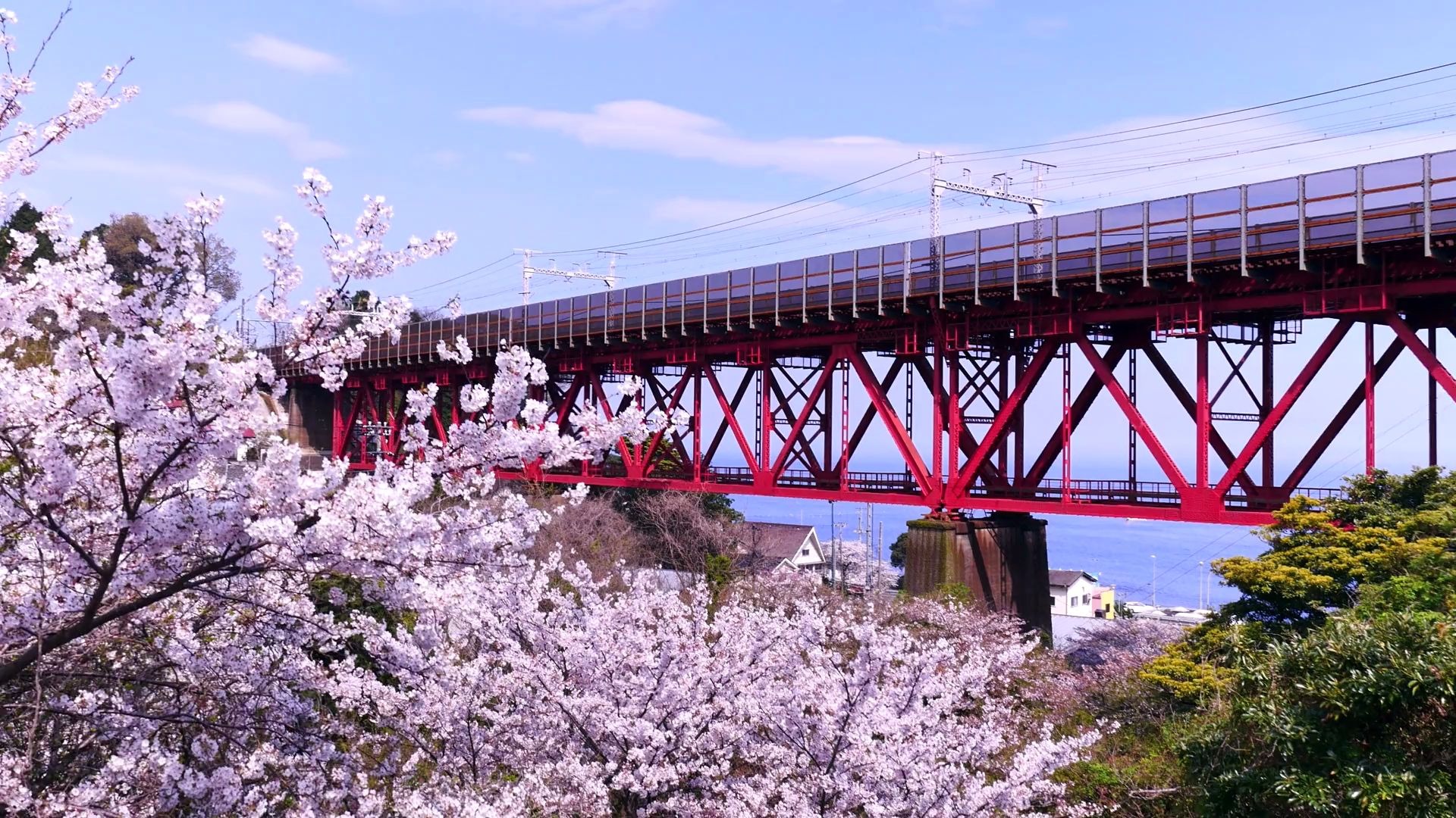 《樱花》sakura2015_4k_50m_by_pc426非常棒的风景片!音乐也很好听!