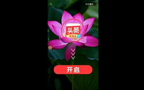 【王某解说】试玩住宅梦物语哔哩哔哩bilibili