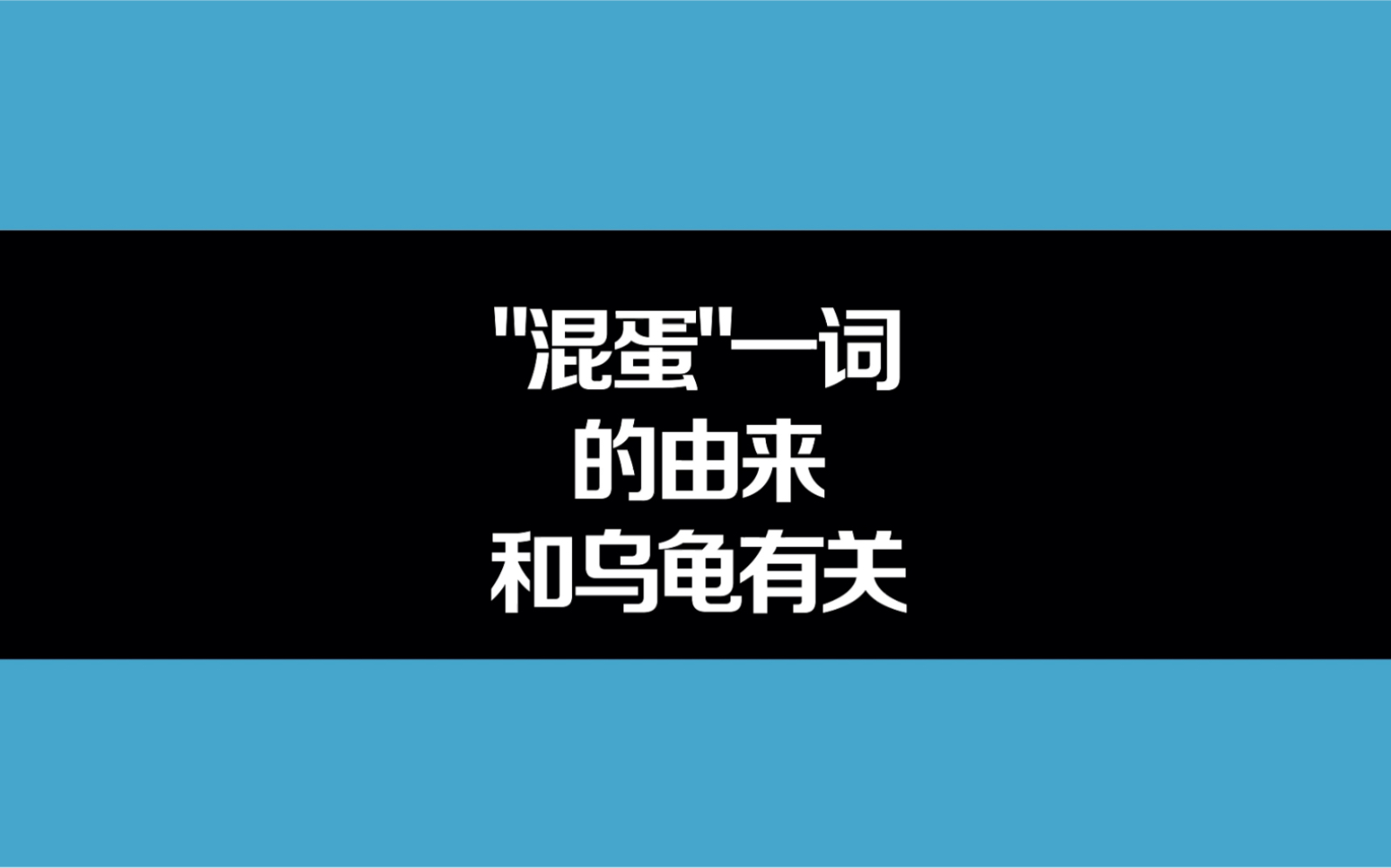 “混蛋”一词的由来和乌龟有关哔哩哔哩bilibili