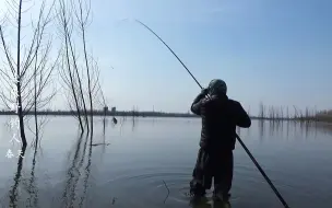 Скачать видео: 野钓：树林遇上了大河，浅滩碰上了鲫鱼，钓鱼人笑了