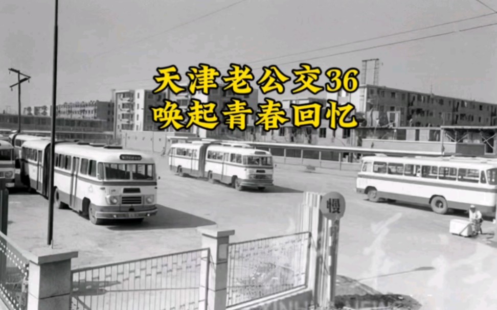 天津老公交36
