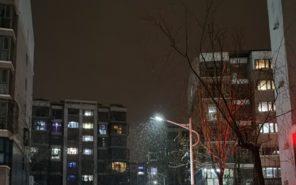 大雪,路燈下