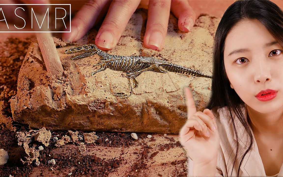 suna角色扮演考古学家带你挖掘恐龙化石【中字】